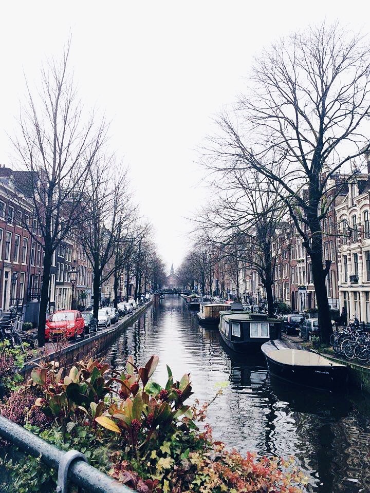 Amsterdam | The Alimental Sage