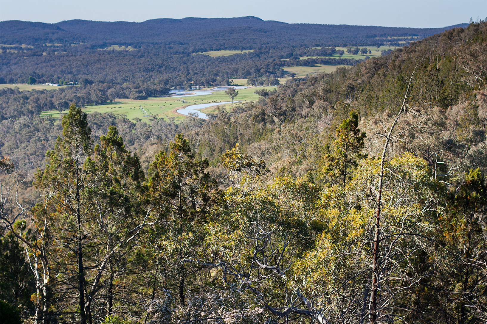 High Country | The Alimental Sage