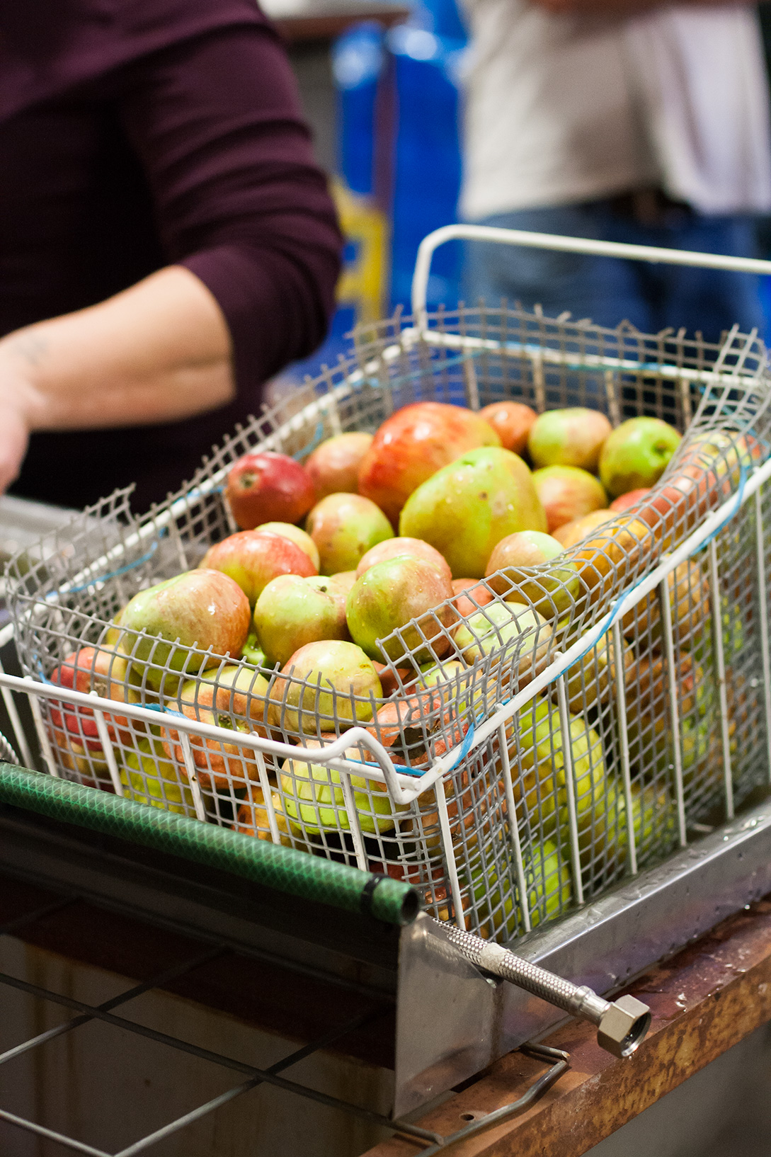 Small Acres cider apples